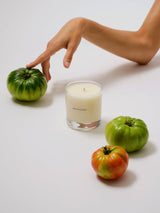 Maison Louis Marie Tomate Candle