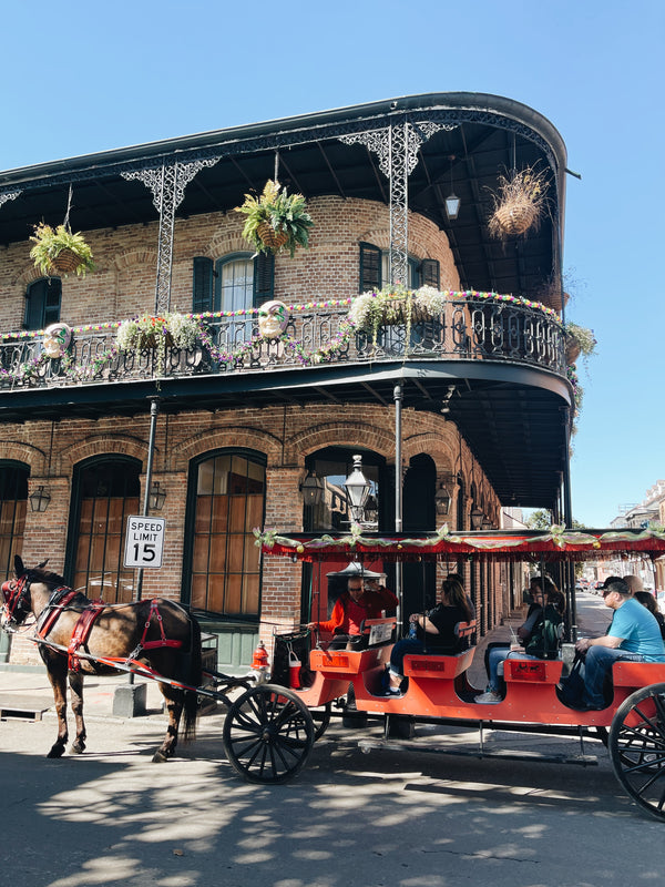 72 HOURS IN NEW ORLEANS