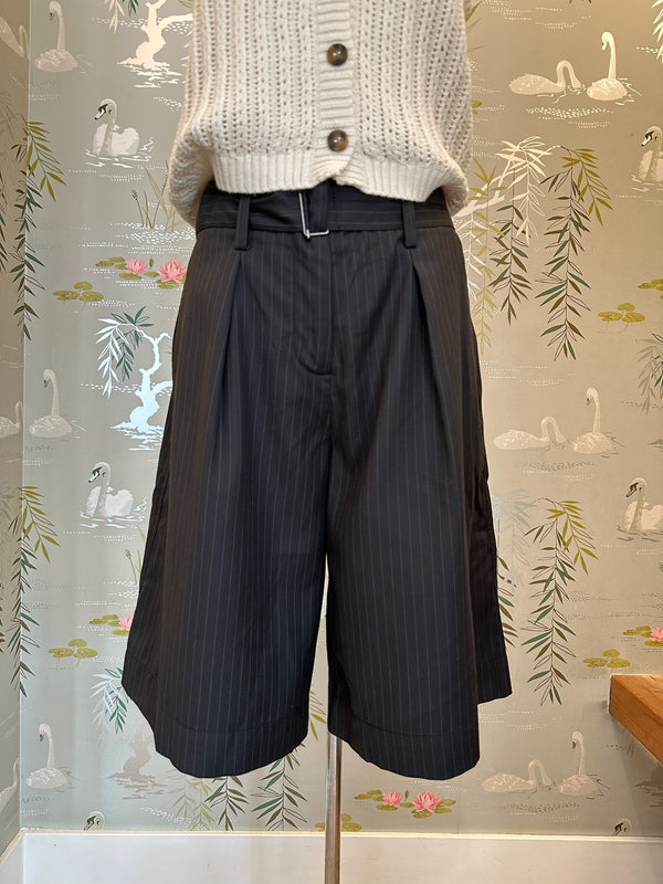 Alicia Striped Shorts