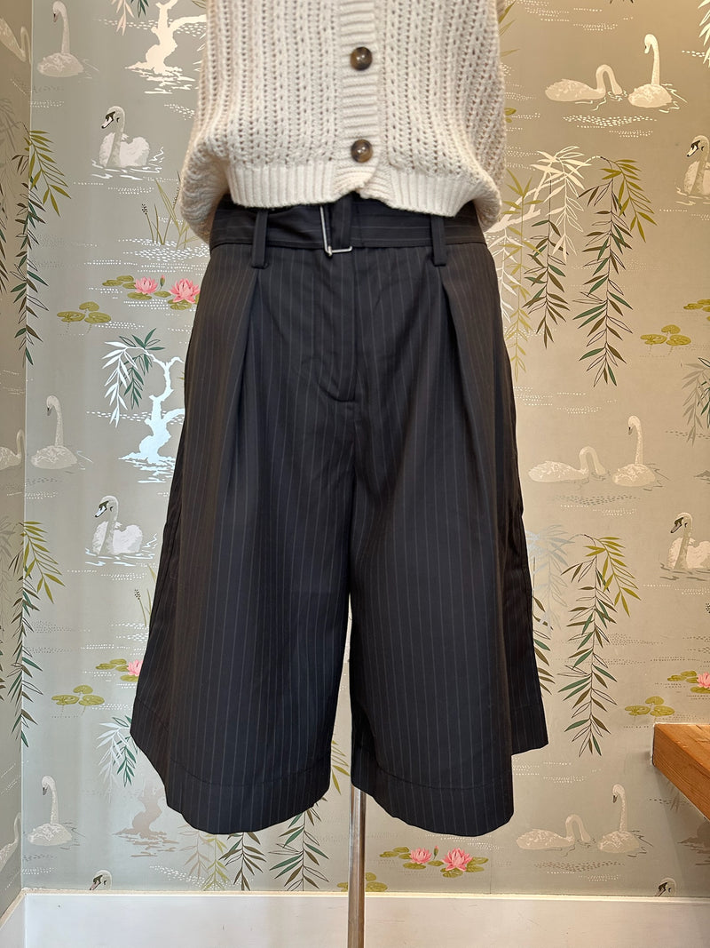Alicia Striped Shorts