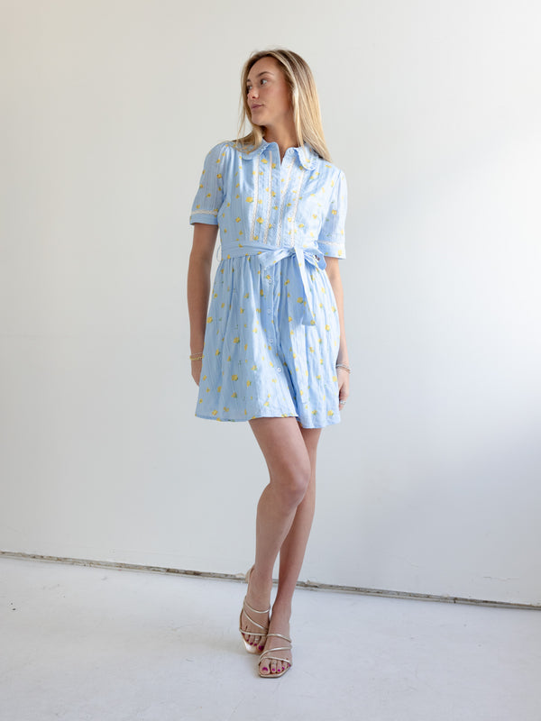 Madi Collared Mini Dress