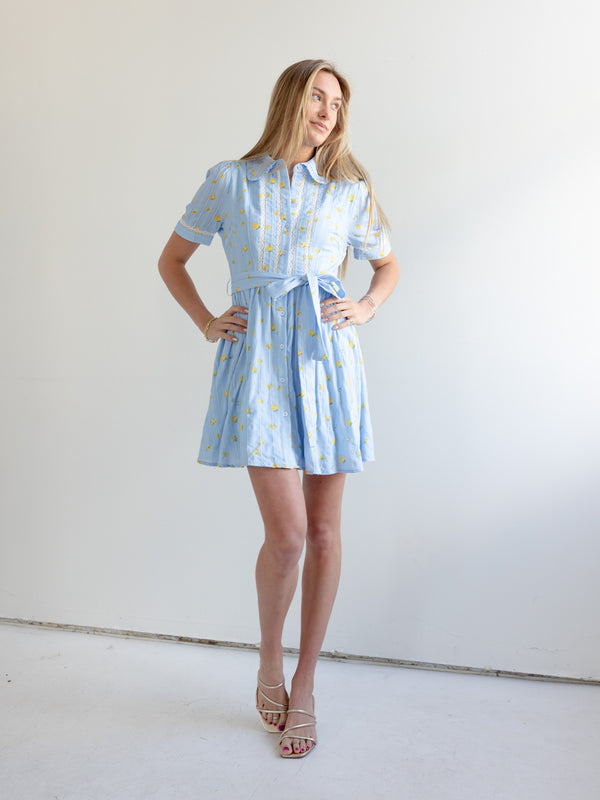 Madi Collared Mini Dress