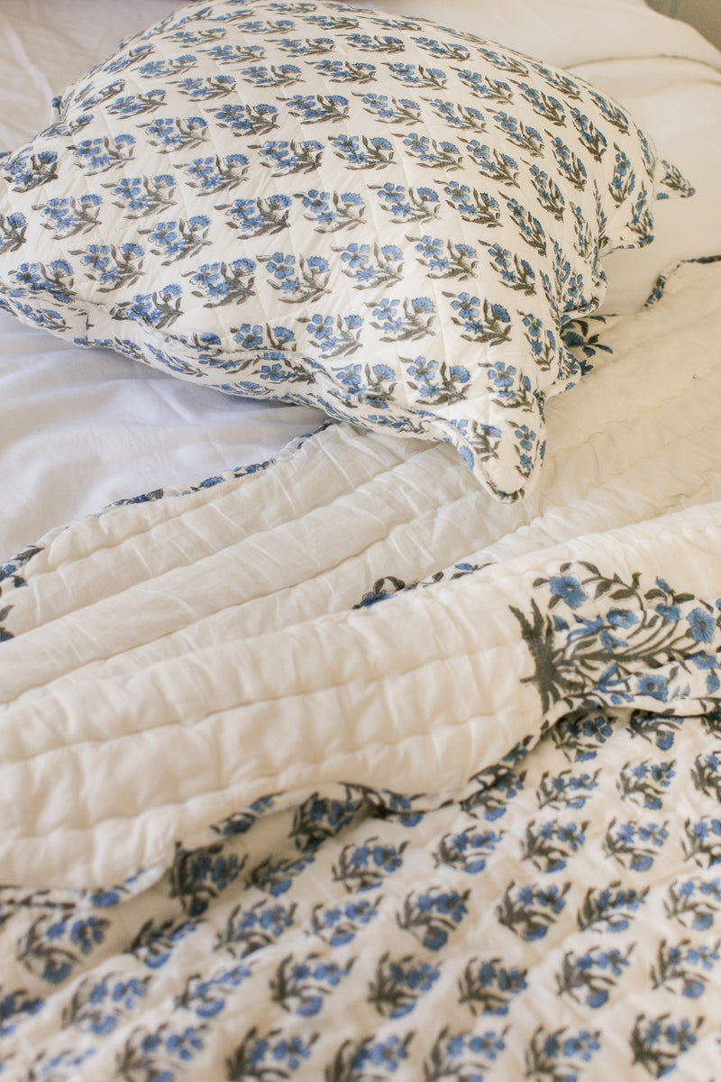 Maison de Frédéric Euro Sham- Bluebell