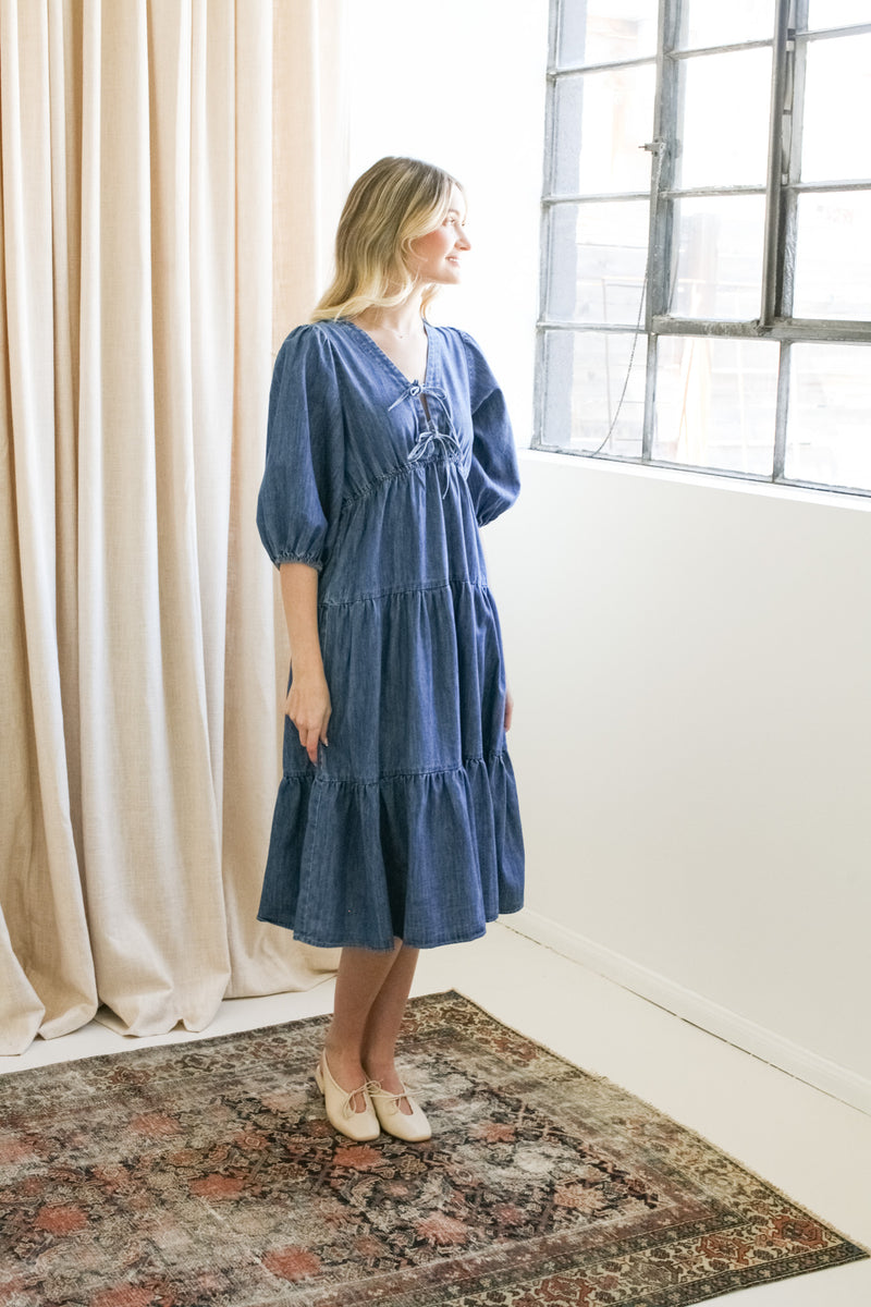 kendi denim midi dress Kendi Denim Midi Dress Reformation