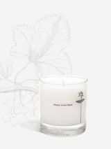 Maison Louis Marie Cassis Candle